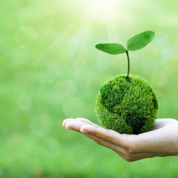 Environmentally friendly concept - Save our planet - Save clean planet
